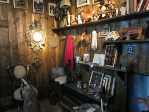 Mark Dion's Hunting Lodge installation.